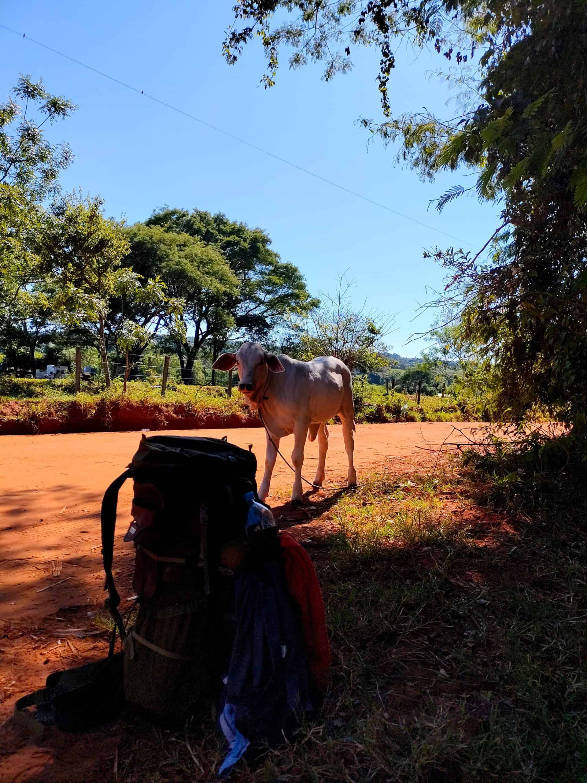 Tag 10: La Colmena-Salto Cristal