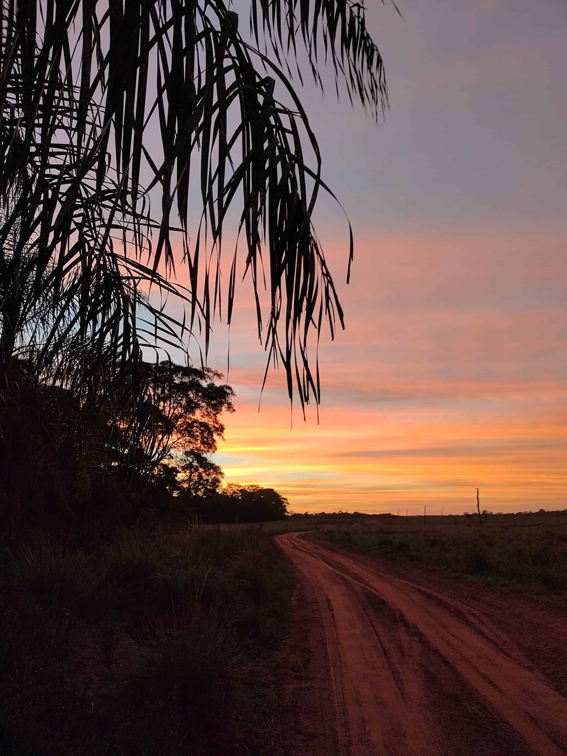 Tag 14: Caazapá-Boquerón