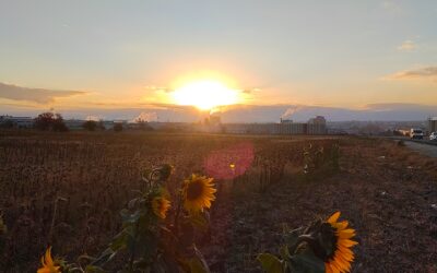 Tag 78 Yenibedir- Fevzipaşa